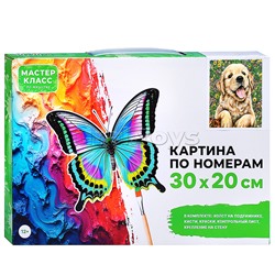 Набор для рисования "Картина по номерам 30х20 см.  Забавный щенок"