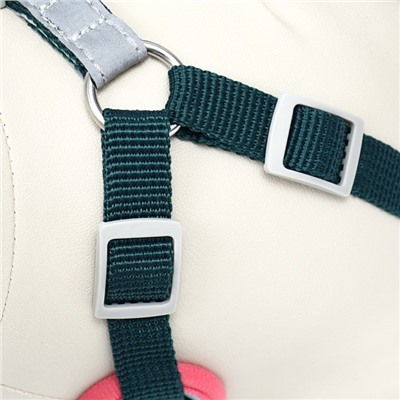Комплект Sport+, XS, поводок 120×1.5 см, ОШ 37-39 см, ОГ 41-46 см, розово - чёрный