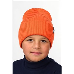 Шапка CLEVER, 840659