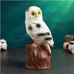 Копилка для денег «Сова полярная», гипс, 14×12×27 см