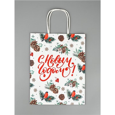 Пакет бумажный подарочный новогодний крафт «Новый год» 27×21×11 см
