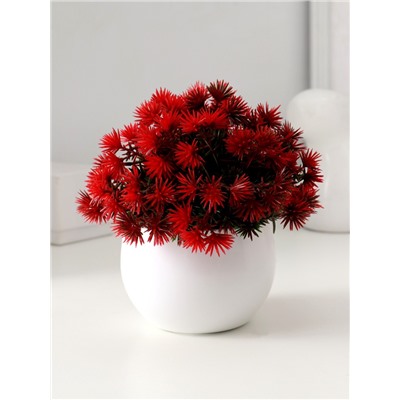 Искусственный цветок в горшке «Пушистые колючки», 9×13 см, МИКС