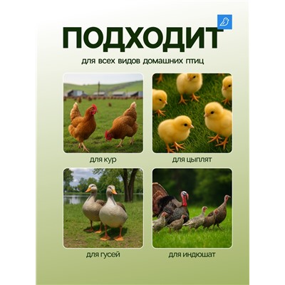 Кормушка для домашней птицы на 5 кг, МИКС