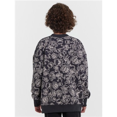 СВИТШОТ ДЛЯ МАЛЬЧИКОВ 123437/1