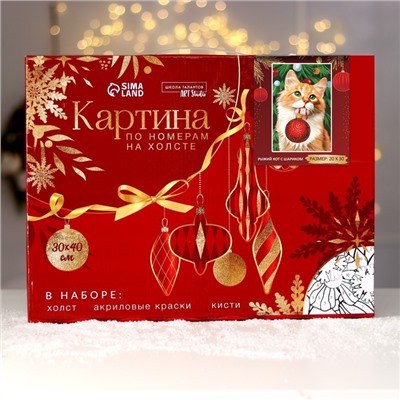 Картина по номерам на холсте с подрамником «Новый год! Рыжий кот с шариком», 20×30 см