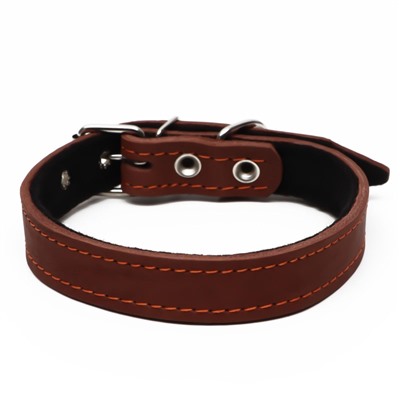Ошейник кожаный на синтепоне, 56×2.5 см, ОШ 35-45 см, коричневый