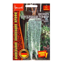 Семена цветов Дихондра Серебряный Сёрфер (Silver Surfer) (Benary) 3шт.   12.29 г.