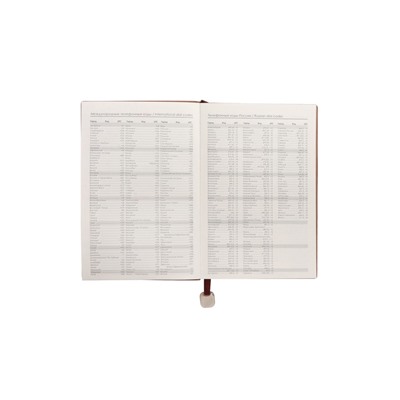 Ежедневник недатированный формат А5, 80л, линия, с ручкой, подар коробка, Коричневый