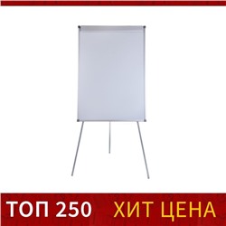 Флипчарт магнитно-маркерный Calligrata СТАНДАРТ, 70×100 см, в алюминиевом профиле, на треноге