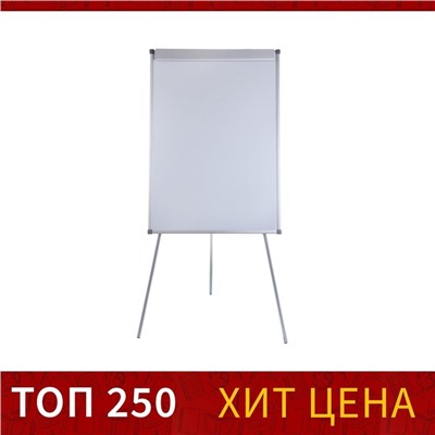 Флипчарт магнитно-маркерный Calligrata СТАНДАРТ, 70×100 см, в алюминиевом профиле, на треноге