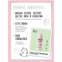 Happy Lab Набор средств для ухода за кожей лица Dream Face: Мицеллярная вода, гель для умывания, очищающая маска, 300 мл, 200 мл x 2 28084