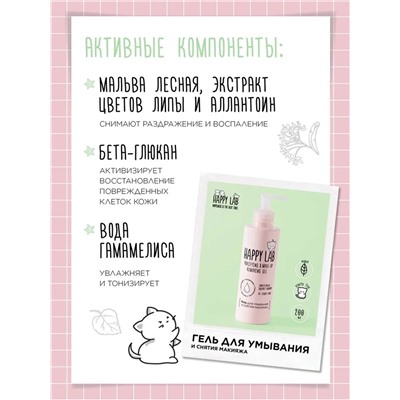 Happy Lab Набор средств для ухода за кожей лица Dream Face: Мицеллярная вода, гель для умывания, очищающая маска, 300 мл, 200 мл x 2 28084