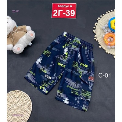 шорты 2053629-3