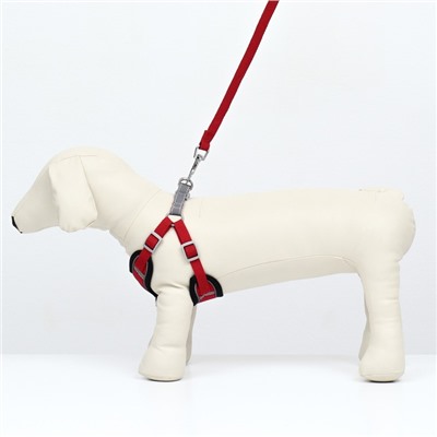 Комплект Sport+, S, поводок 120×1.5 см, ОШ 39-41 см, ОГ 44-48 см, вес животного 7-13 кг, красный