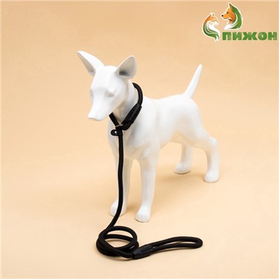 Ринговка для собак, 130×1 см, чёрная