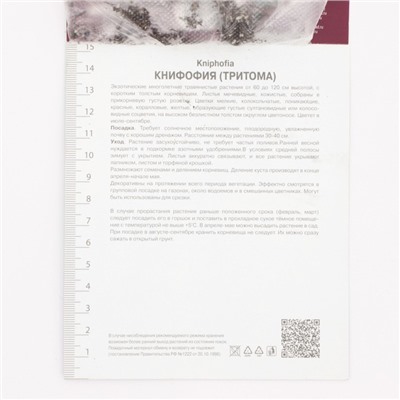Книфофия гибридная Литтл Мейд, корневище в пакете с торфогрунтом, р-р I, 1 шт.