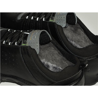 Зимние Кроссовки Ecco Biom