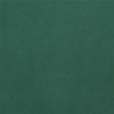 Бумага упаковочная крафт «Мокрый тропический лес», 0.7×10 м, 70 г