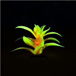 Растение для аквариума и террариума, светящееся, 10 см, красное