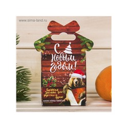 Новогодний набор эфирных масел «С лёгким паром!», пихта и кедр, 2 шт. по 15 мл