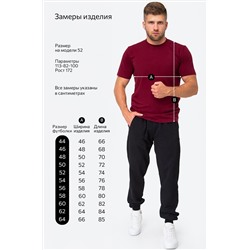 Мужская футболка Happyfox