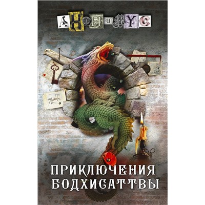 АСТ Анонимус "Приключения бодхисаттвы"