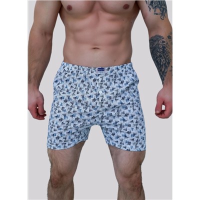 Мужские трусы семейные Berrak