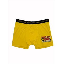 Трусы для мальчика Berrak