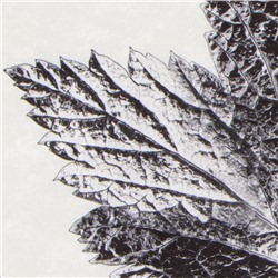 Коврик для ванной «Этель» Natural print, 57×57±2 см, велюр