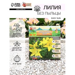 Лилия без пыльцы Easy Sun, луковица в пакете с перфорацией, р-р 12/14, 2 шт.