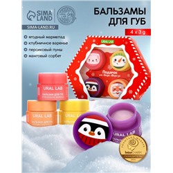 Бальзамы для губ, набор 4 шт. × 3 г, URAL LAB
