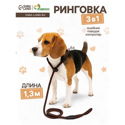 Ринговка для собак, 130×1 см, коричневая