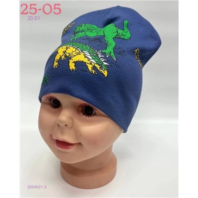 шапка 2054021-3