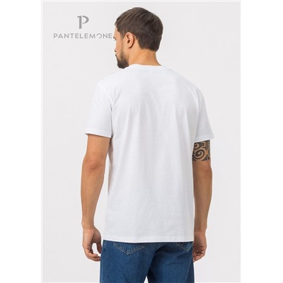 MF-913 (Футболка мужская, PanteLemone )