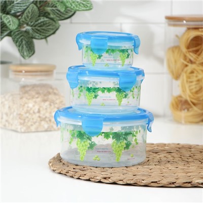 Набор контейнеров пластиковых «Виноград», 3 шт.: d=8.5; 11; 14 см, цвет МИКС