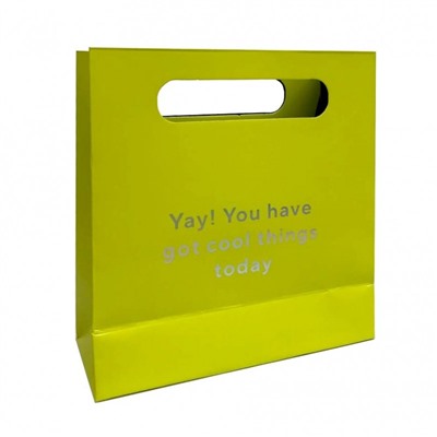 Подарочный пакет Золотое Яблоко (15x16)