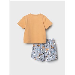 Комплект детский трикотажный для мальчиков: джемпер (футболка), шорты