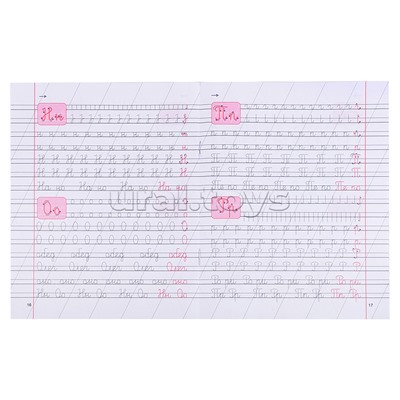 Пропись-тренажер. Чистописание. Пишем левой рукой