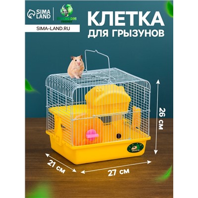 Клетка для грызунов «Пижон», укомплектованная, 27×21×26 см, жёлтая