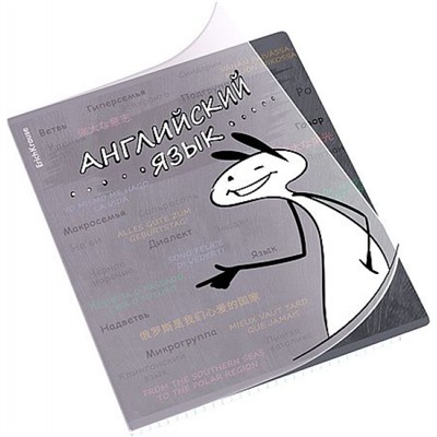 Тетрадь 48л с пластиковой обложкой "Чубрик" по английскому языку 59478 ErichKrause