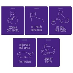 Тетрадь  48л клетка "Кошачье настроение" 15027/5 Academy style