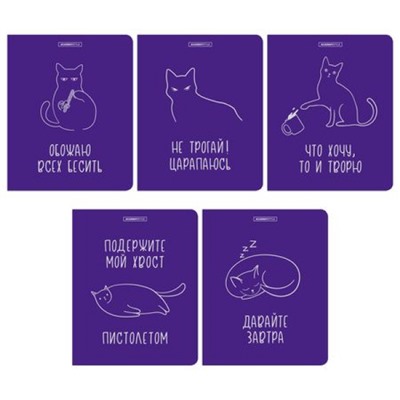 Тетрадь  48л клетка "Кошачье настроение" 15027/5 Academy style