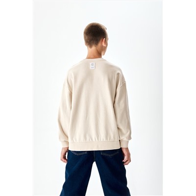 Толстовка SMENA, 1104568