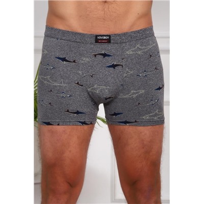 Трусы 64877 (Мультицвет)