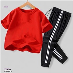 Костюм двойка 1982895-4