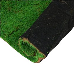 Мох искусственный, декоративный, полотно 1×1 м, зелёный, Greengo