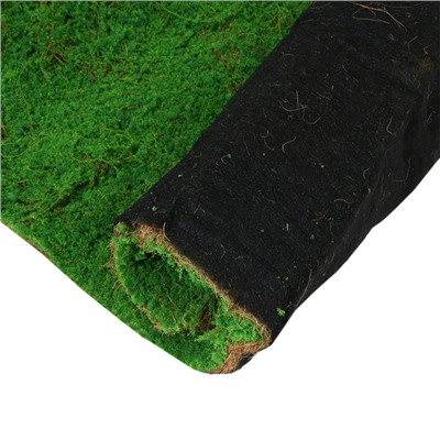 Мох искусственный, декоративный, полотно 1×1 м, зелёный, Greengo
