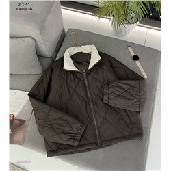 Куртка весна 2058260-5