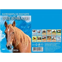Календарь на магните отрывной 2026 г. 96х135 мм "Год лошади. Вид 2" 1126009 Атберг