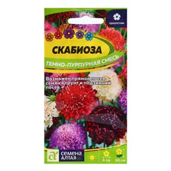 Семена Скабиоза "Темно-Пурпурная", ц/п,  0,2 гр.
